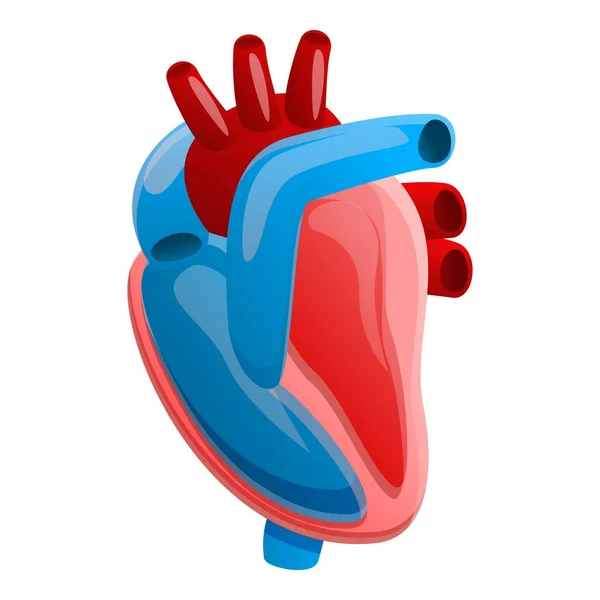 Anatomi insan kalbi ikonu, çizgi film tarzı — Stok Vektör