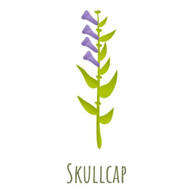 Scullcap plant icon, cartoon style clipart