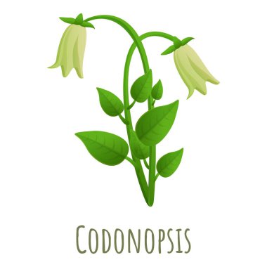 Codonopsis icon, cartoon style clipart