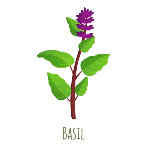Икона растений базилика, стиль мультфильма — стоковый вектор