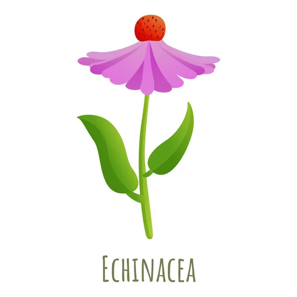 Icono de flor de equinácea, estilo de dibujos animados — Vector de stock