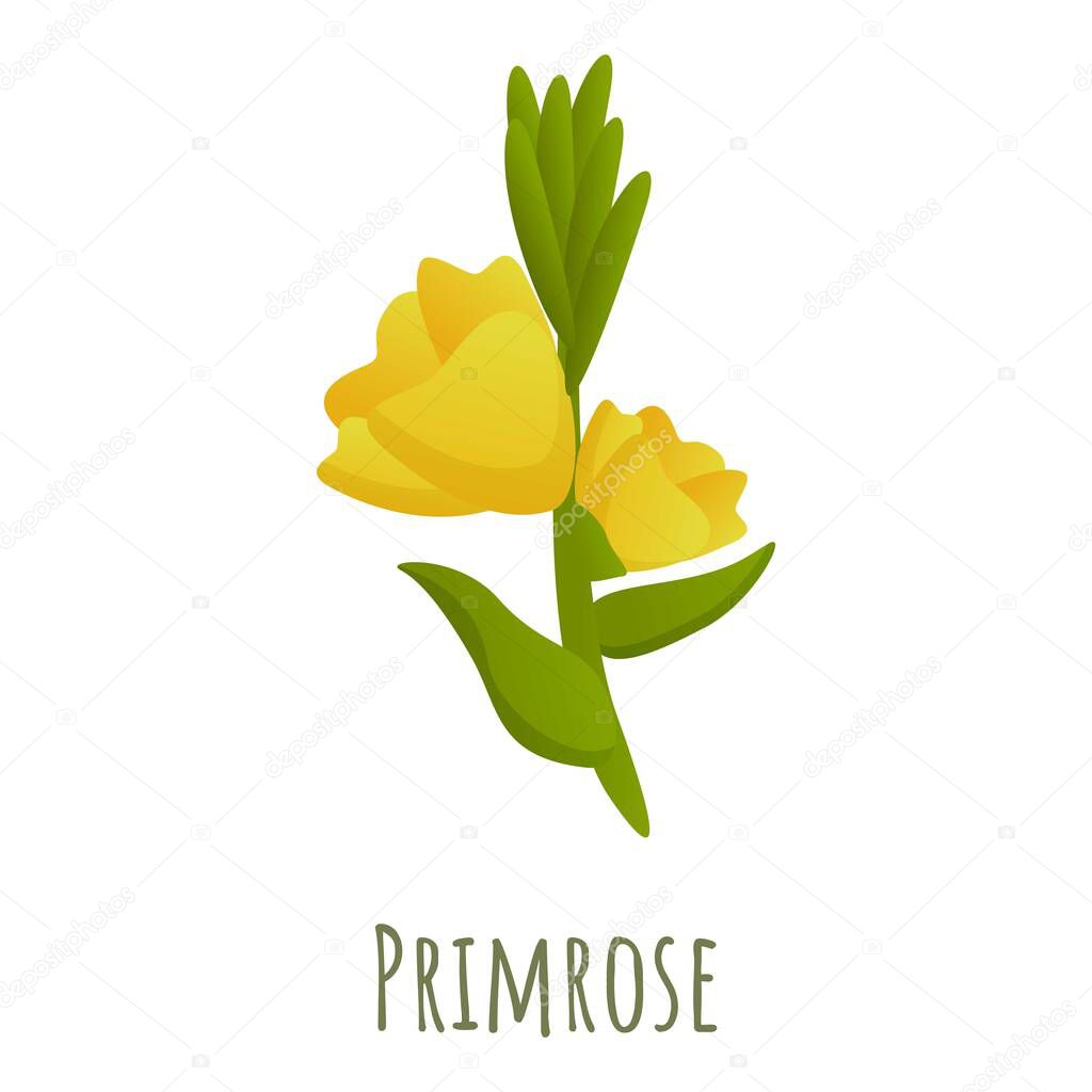 Primrose flower icon, cartoon style