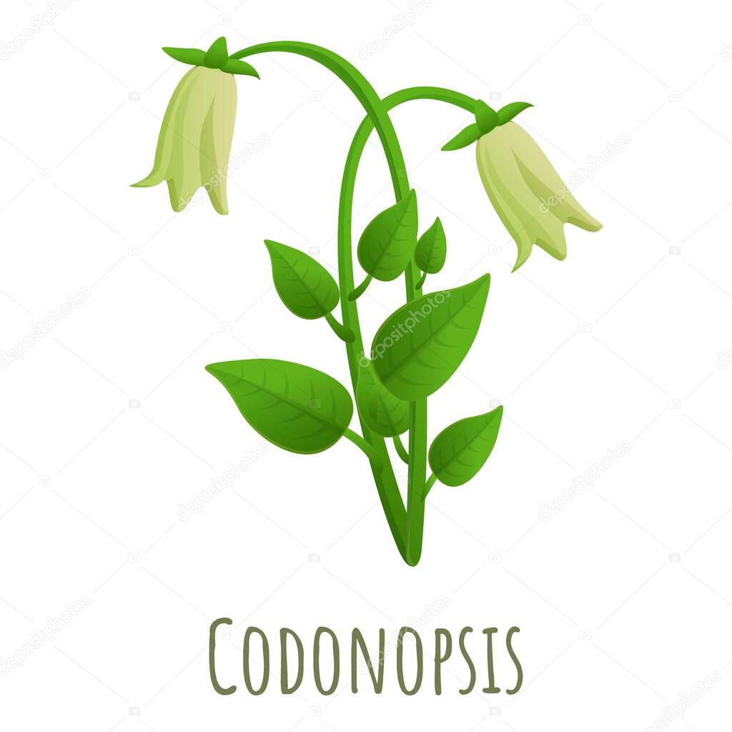 Codonopsis icon, cartoon style