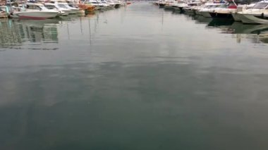 İskelede yatlar ve yelkenli tekneler.