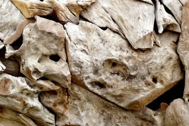 ağaç kütüğü doğal arka plan