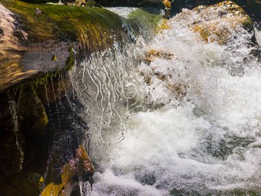 ormanda fırtınalı Nehri