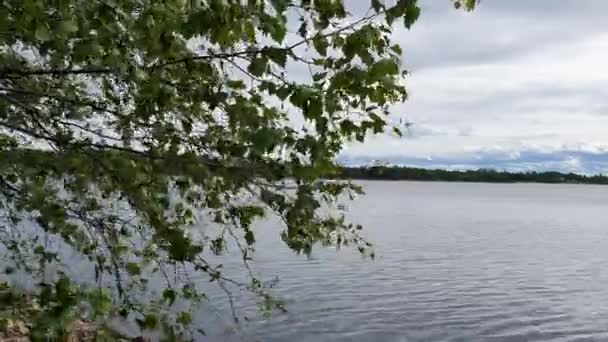 Финляндия Лапландия Лето Кеми Ботнический Залив Панорама — стоковое видео