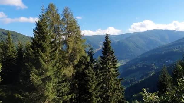 Austria Carintia Verano Montañas Alpes Paisaje Panorama Vista Valle Árboles — Vídeo de stock