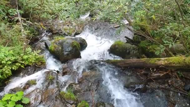 Autriche, Carinthie, été, montagnes, Alpes, forêt, pente, ruisseau, vue sur la cascade 