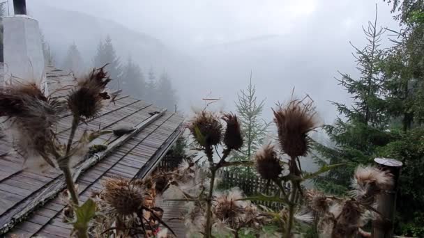 オーストリア カリンシア アルプス 家の屋根 谷の景色 スリル — ストック動画