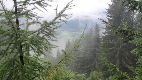 Αυστρία Καρινθία Καλοκαίρι Βουνά Άλπεις Κοιλάδα Σύννεφα Βροχή Συννεφιά Θέα — Αρχείο Βίντεο