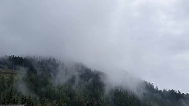 Oostenrijk Karinthië Zomer Bergen Alpen Timelapse Wolken Een Helling Bos — Stockvideo