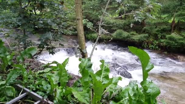 Österreich Kärnten Sommer Berge Alpen Gebirgsfluss Wasserfall Küste Vegetation — Stockvideo