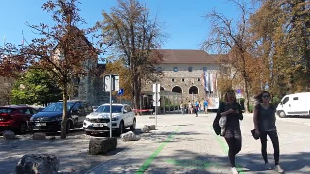 Parking Face Château Murs Entrée Château — Video