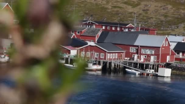 Fiskarbyn Ligger Andra Sidan Viken Utsikt Genom Vegetationen — Stockvideo