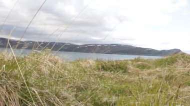 Fiyortun arka planında büyük çimenler var. Güçlü rüzgar.