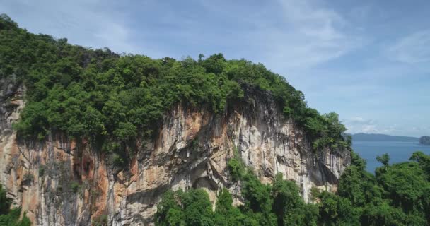 Drohnenflug Über Einer Felsigen Klippe Dschungel Wächst Auf Den Felsen — Stockvideo