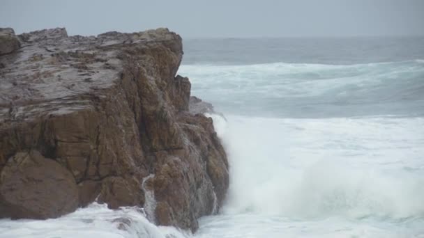 Afrique Sud Cap Occidental Surfer Sur Océan Cape Point Mouvement — Video