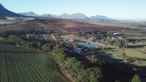 Νότια Αφρική Δυτικό Ακρωτήριο Πετώντας Drone Πάνω Από Αμπέλια Βουνά Βίντεο Αρχείου
