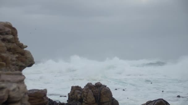 Νότια Αφρική Δυτικό Ακρωτήριο Ωκεανό Surf Στο Κέιπ Πόιντ Αργή Βίντεο Κλιπ
