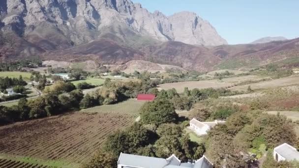 Zuid Afrika West Kaap Vliegende Drone Wijngaarden Bergen Zijn Zichtbaar — Stockvideo
