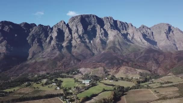 Sudafrica Western Cape Drone Volante Sui Vigneti Montagne Sono Visibili — Video Stock