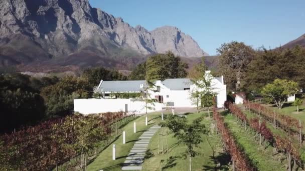 Южная Африка Западный Кейп Летающий Дрон Над Виноградниками Впереди Видны — стоковое видео