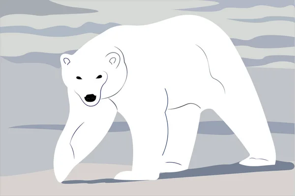 Διανυσματική Απεικόνιση Πολικής Αρκούδας Στο Χιόνι — Διανυσματικό Αρχείο