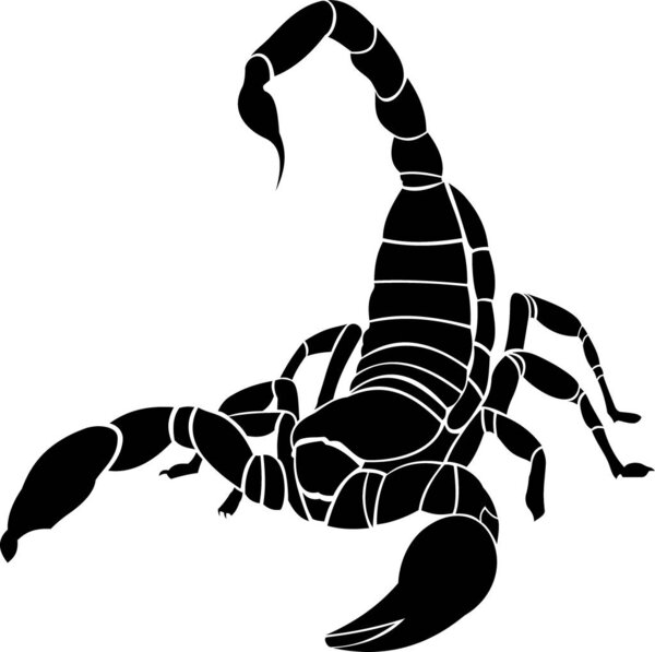 black and white vector silhouette of a scorpion in attack