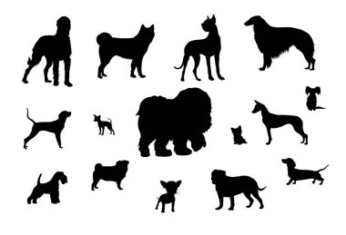 Farklı cinsten köpeklerin vektör siluetleri, evcil hayvan siluetleri, köpekler, safkan köpekler, farklı açılar. Arkaplan olmadan