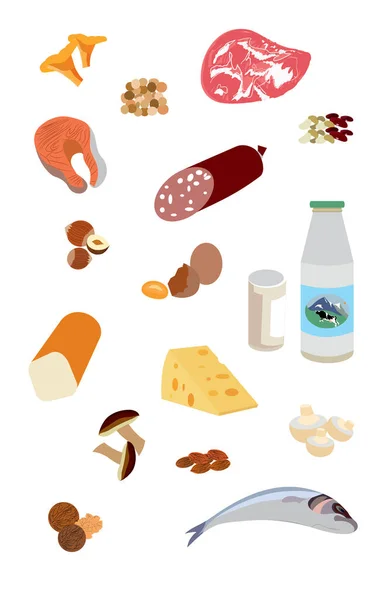 Vektorillustration Einer Reihe Von Proteinhaltigen Lebensmitteln Milchprodukten Fleisch Fisch Hülsenfrüchten — Stockvektor