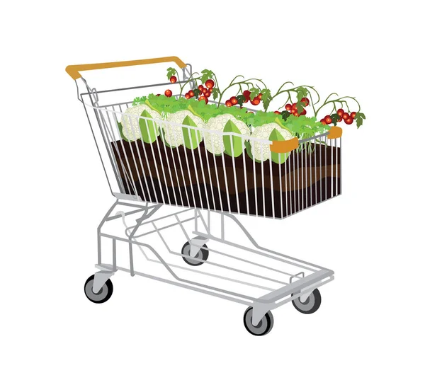在泥土里放蔬菜的购物车 — 图库矢量图片