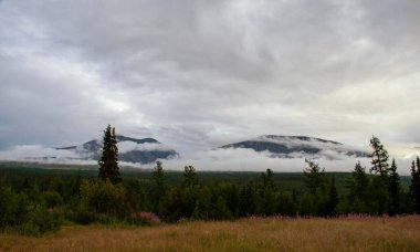 Dağları ve karaçam ormanlarını kaplayan alçak bulutlar. 