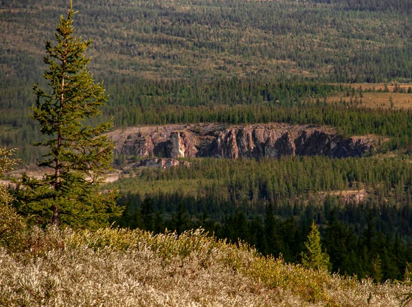 Överblick Över Tidigare Guldbrott Nationalparken Ser Som Ett Sår Som — Stockfoto