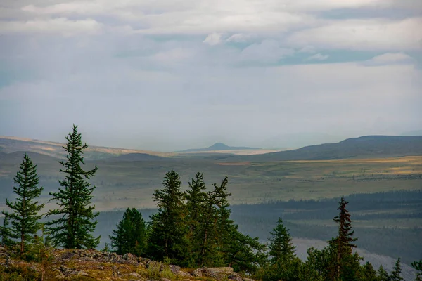 Utsikt Över Fjälldal Och Lärkskog — Stockfoto