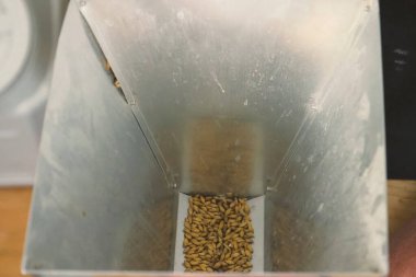 Tahıl değirmeni, değirmende arpa öğütme.