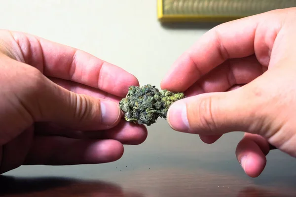 Pequena inflorescência de cannabis seca. Dope marijuana de inflorescências de cânhamo . — Fotografia de Stock