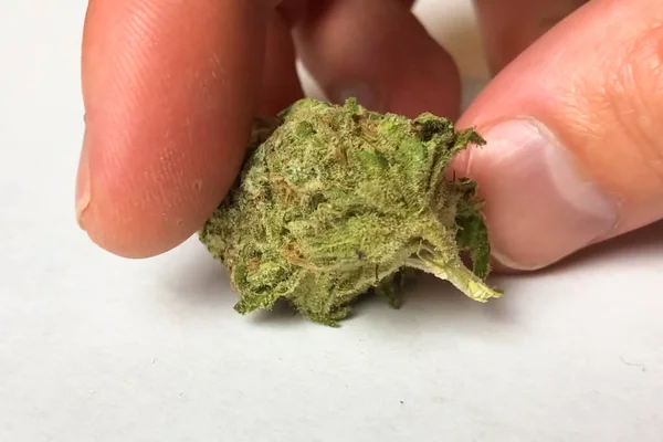Kleine getrocknete Cannabis-Blütenstände. Marihuana aus Hanf gedopt — Stockfoto