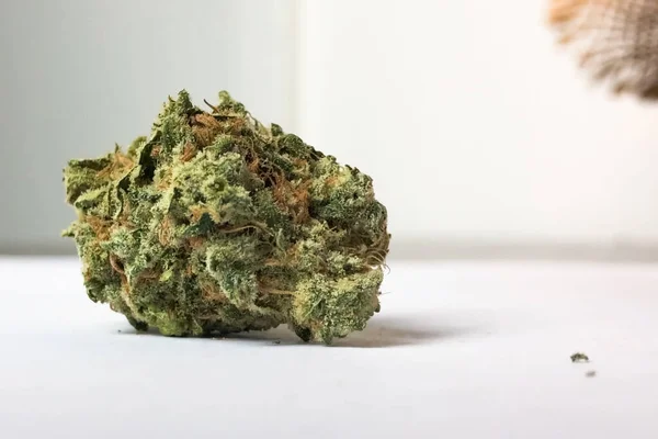 Pequena inflorescência de cannabis seca. Dope marijuana de inflorescências de cânhamo . — Fotografia de Stock