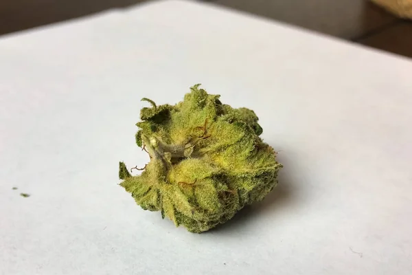 Small dried cannabis inflorescence. Dope marijuana from hemp inf — Stock Photo, Image
