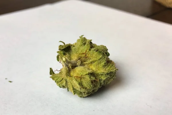 Pequena inflorescência de cannabis seca. Dope marijuana de cânhamo inf — Fotografia de Stock