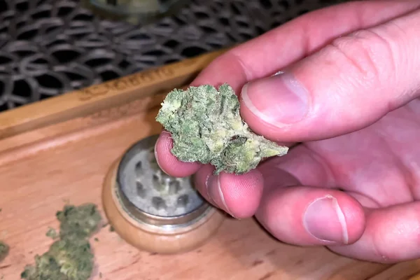 Kleine getrocknete Cannabis-Blütenstände. Marihuana aus Hanfblüten dopen. — Stockfoto