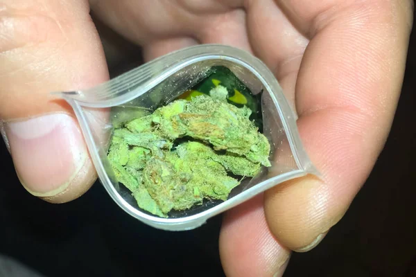 Sac de marijuana dans les mains d'un homme rastaman. Dose de marijua — Photo