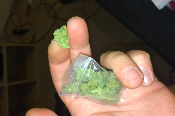 Bolsa de marihuana en manos de un hombre rastamán. Dosis de marijua —  Fotos de Stock