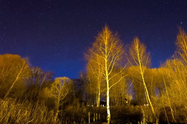 Yıldızlı gökyüzü gece gökyüzündeki yıldızların ve Samanyolu 'nun arkaplan resmi.