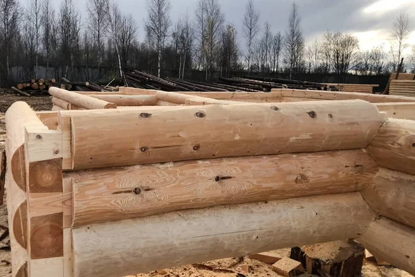 Préparation des grumes pour l'assemblage de la structure. Matériaux pour — Photo