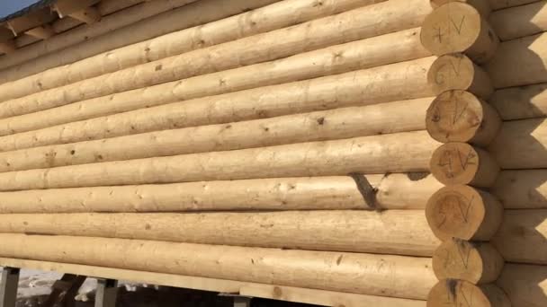 Preparación de troncos para el montaje de la estructura. Materiales para una casa de madera. Secado y montaje de casa de madera en una base de construcción . — Vídeo de stock