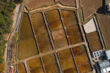 Doğal nehir veya gölette mersin balığı çiftçiliği için kafesler.