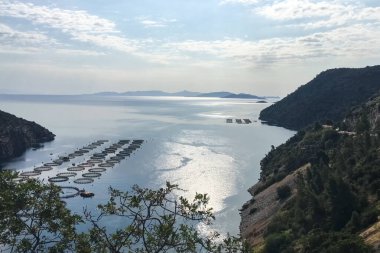 Denizde balık çiftliği. Balık çiftliğinin en iyi manzarası.