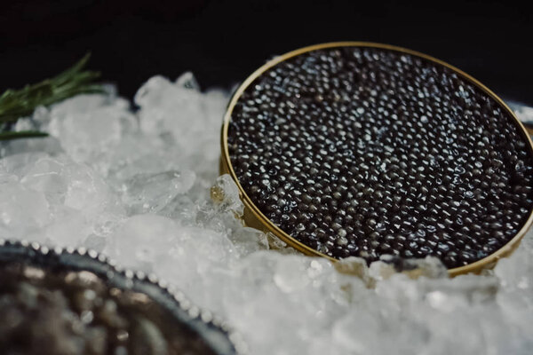 Black caviar served on table. Exquisite delicacy of black sturge